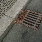 drain