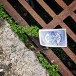sewer-line